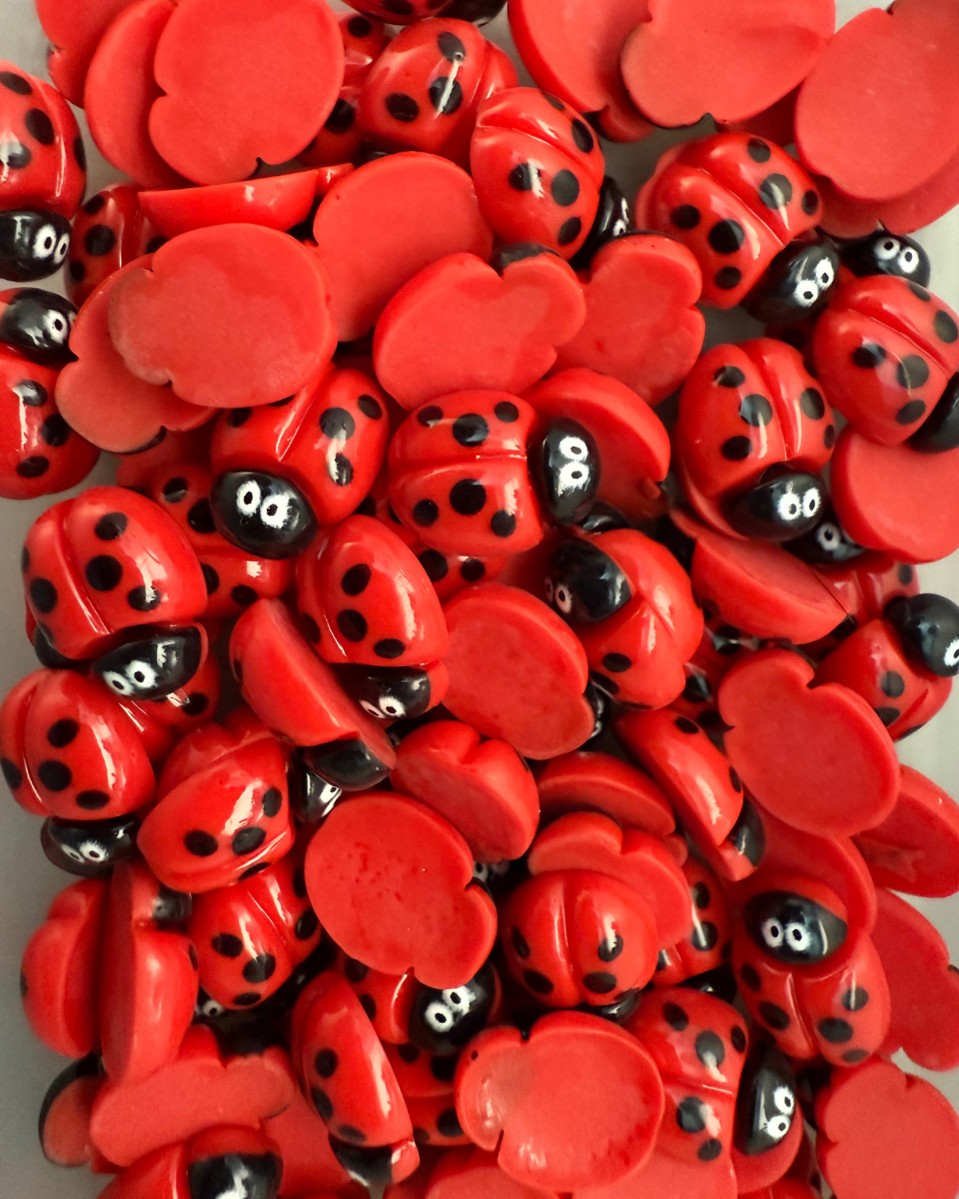 Lady Bugs - 5 Per pack