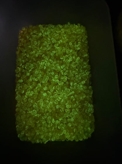 Glow In The Dark Orange